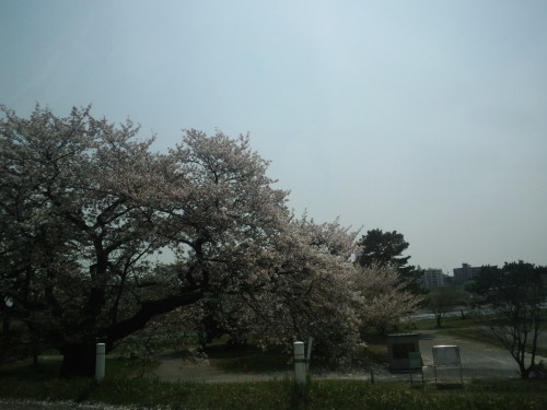 CA3H0819