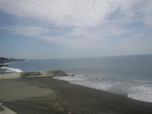 CA3H0954