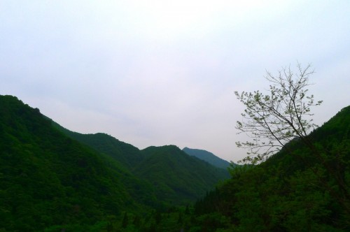 P1010990