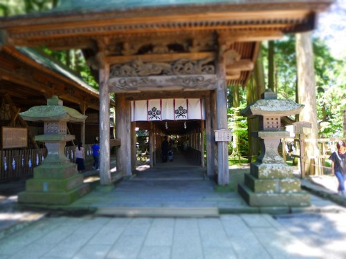 P1020290